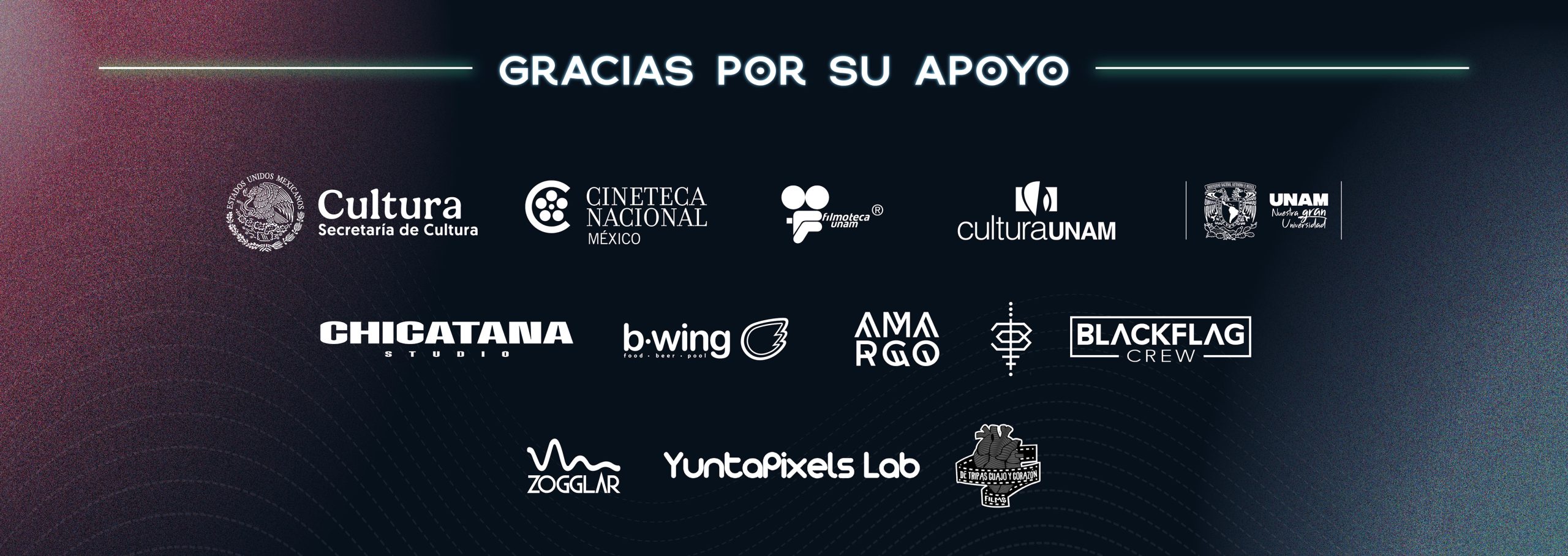 CINICA 2025_Banner_Gracias-2026